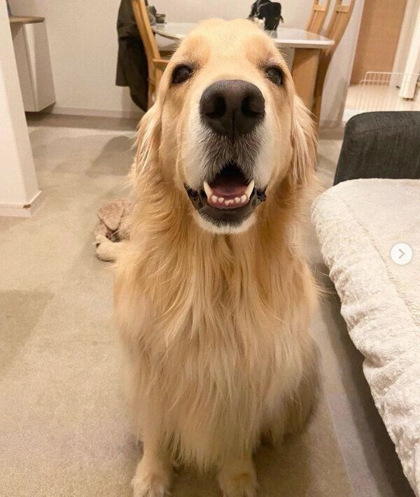 笑顔が可愛いひまわりちゃん