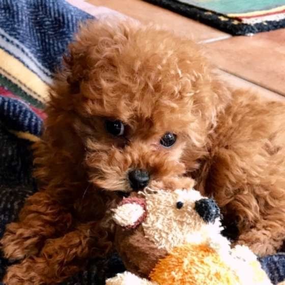 とっても元気な柚くん