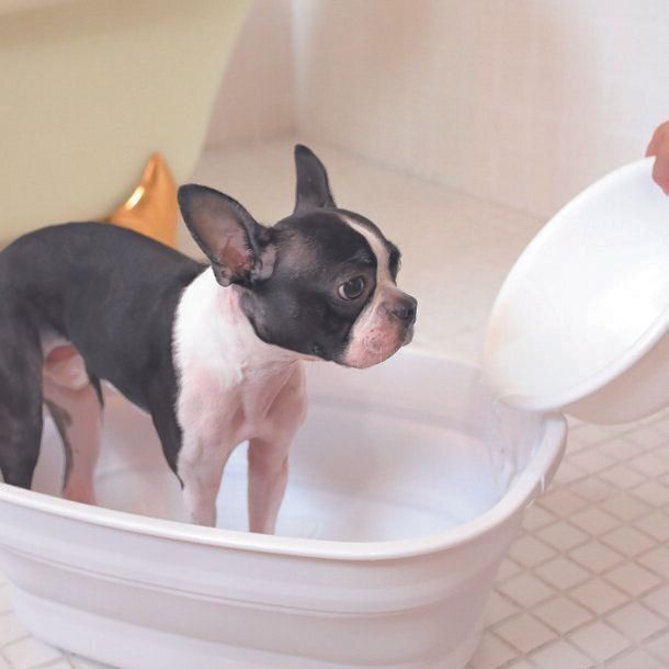 撮影／尾﨑たまき