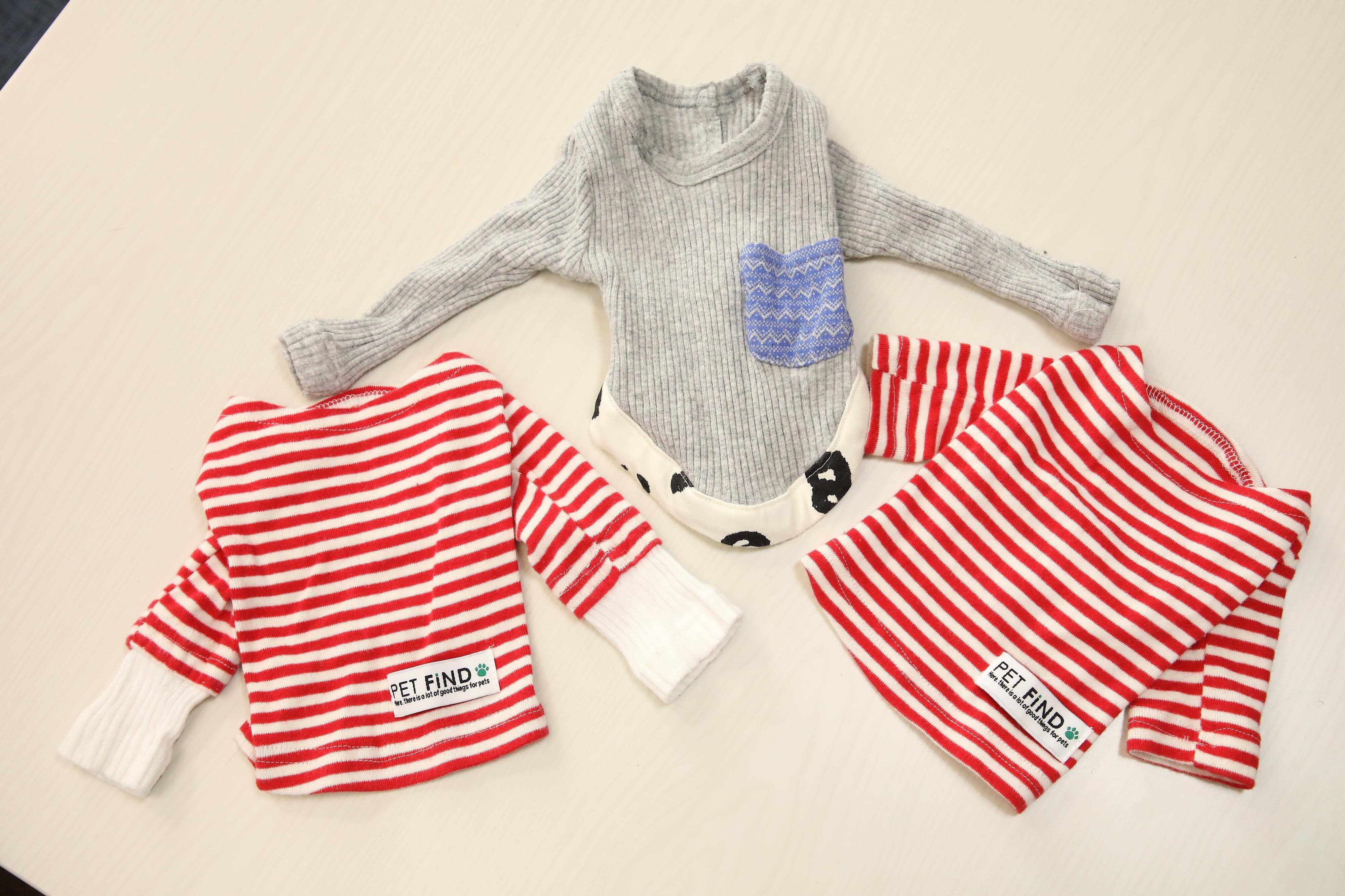 犬用の長袖服がなかったため、子ども服の袖をつけて改造（撮影／尾﨑たまき）