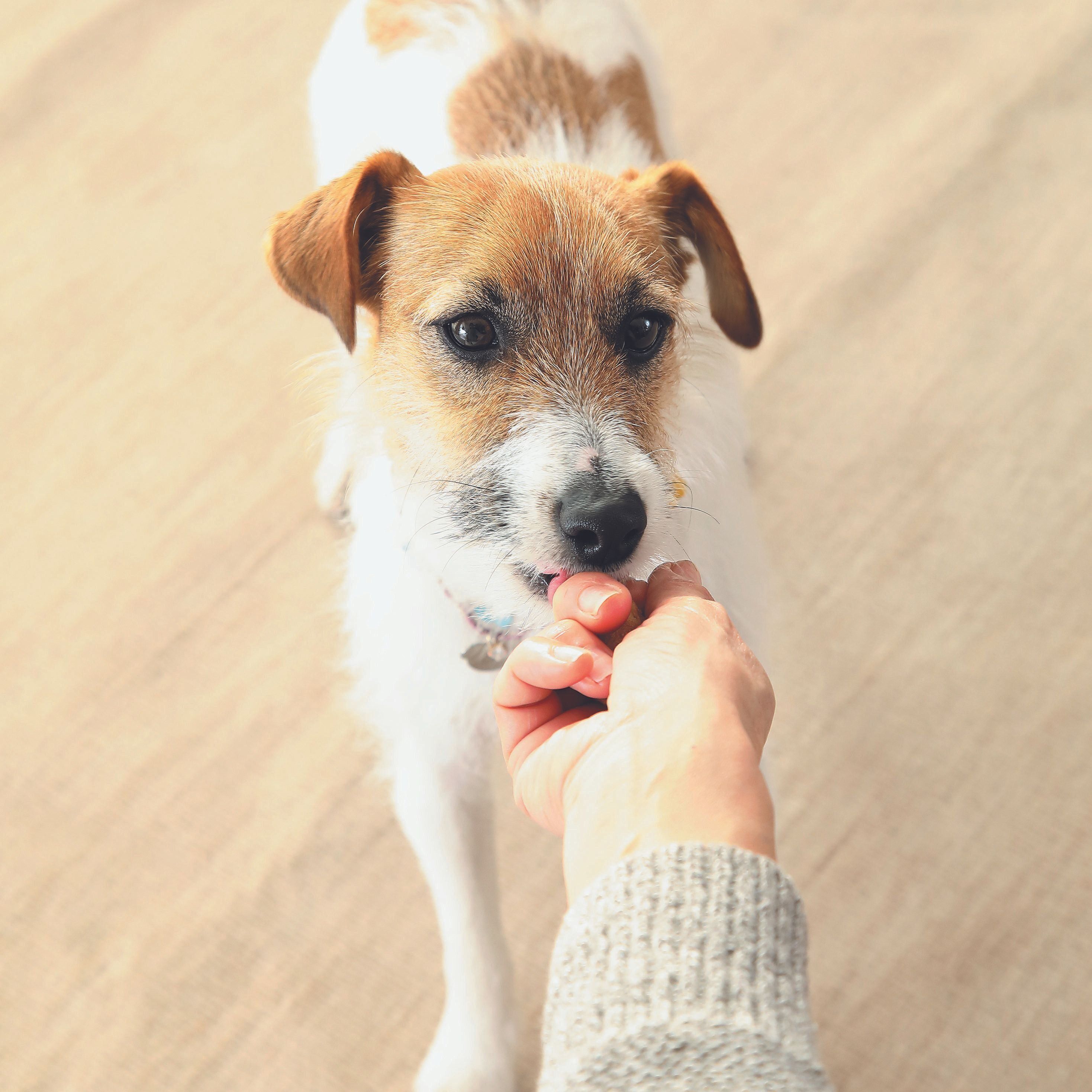 撮影／尾﨑たまき