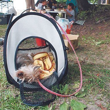 写真提供／Yさん