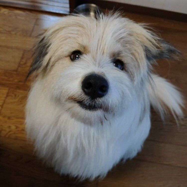 最近撮影したアルナちゃんの写真