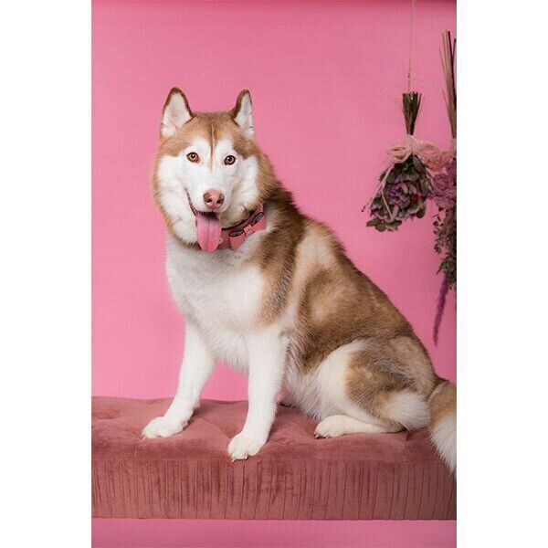 笑顔のシャンテちゃん