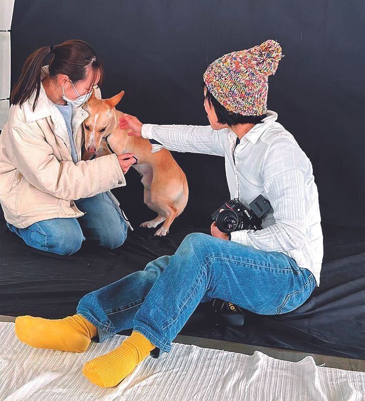2023年秋スタートした〝雑種犬〞の魅力を広めるプロジェクト。この日撮影したてん汰くんは超ビビリでした