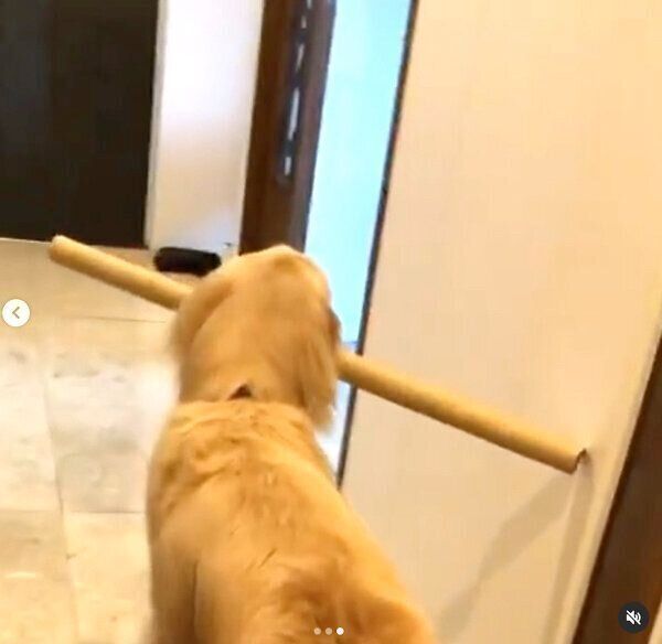 紙管を運ぶマリンjrちゃん