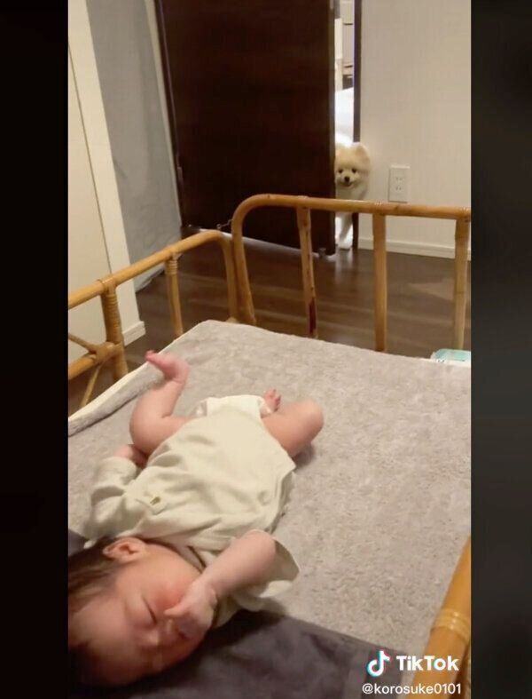 ドアの隙間からそーっと部屋を覗く、ころすけくんとぺこちゃん