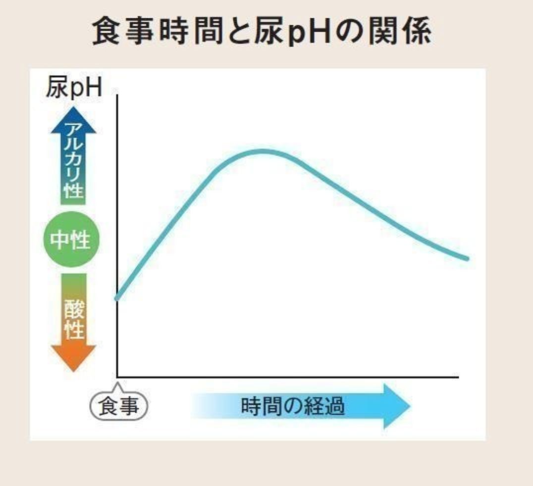 犬の尿路結石症とフード選び 症状 予防法 食事療法 いぬのきもちweb Magazine 犬の尿路結石症とフード選び 症状 予防法 食事療法 いぬのきもちweb Magazine