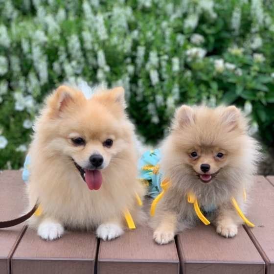 姉妹の2ショット