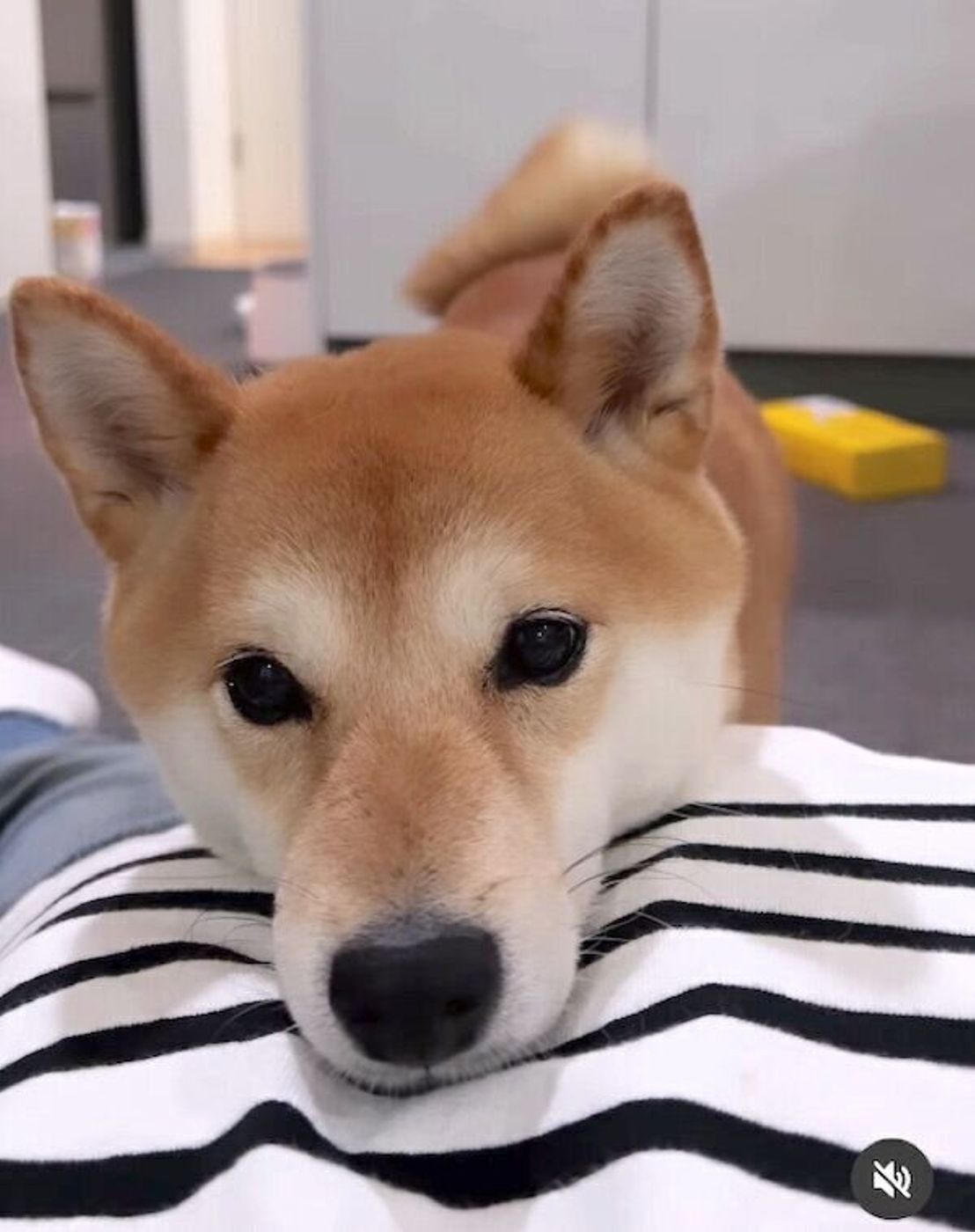 Iahxfz3baqlk1m Iahxfz3baqlk1m