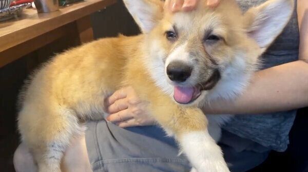 マッサージしてもらうレイくん