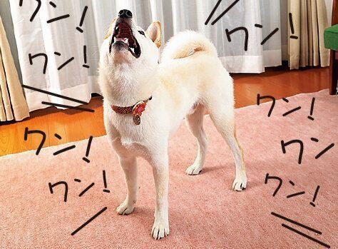 撮影／尾﨑たまき