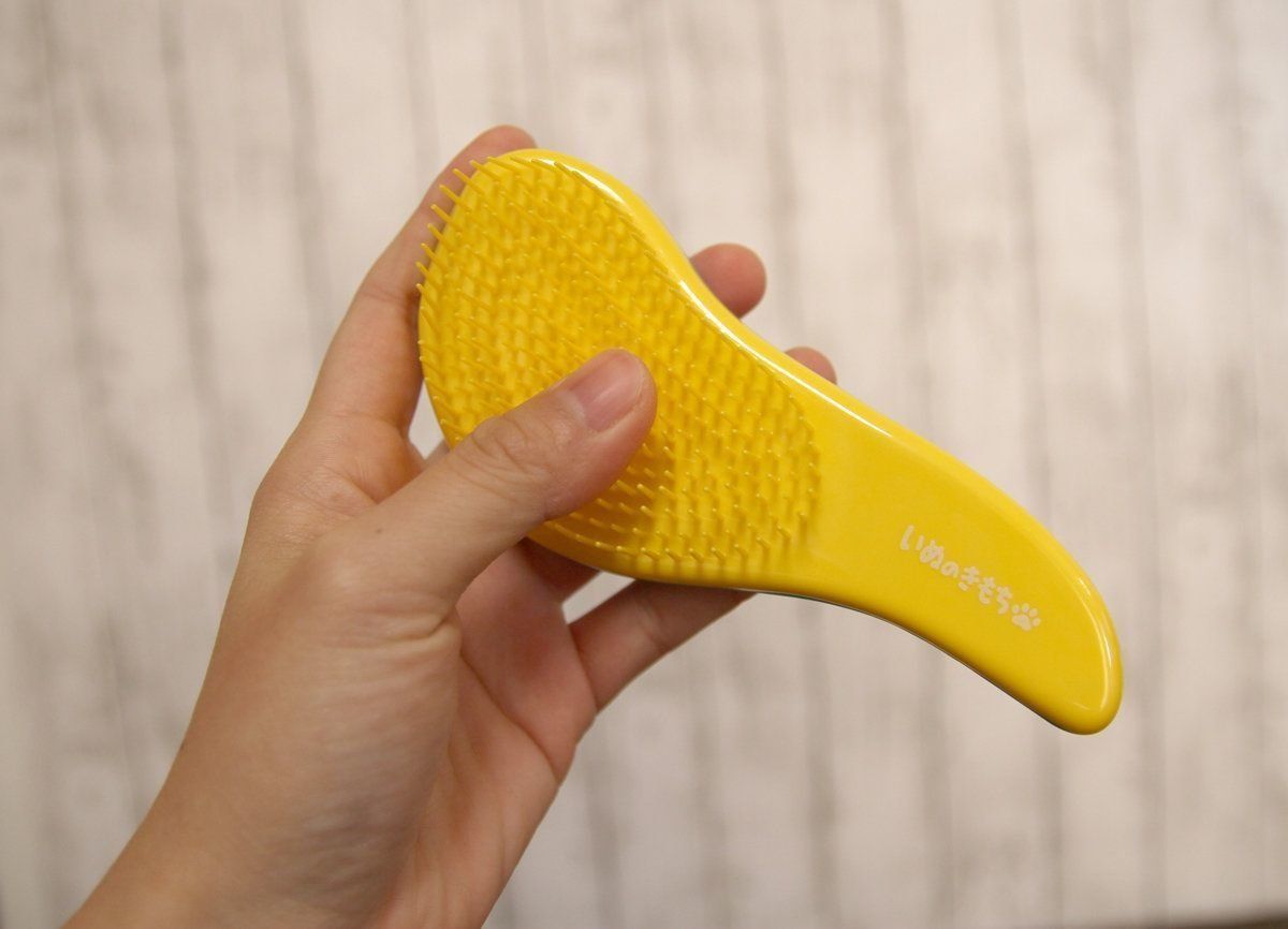 いぬのきもちふろくレポートブラシ