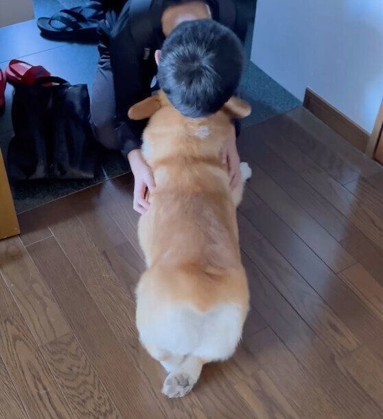 帰宅した息子さんを歓迎するジノくん
