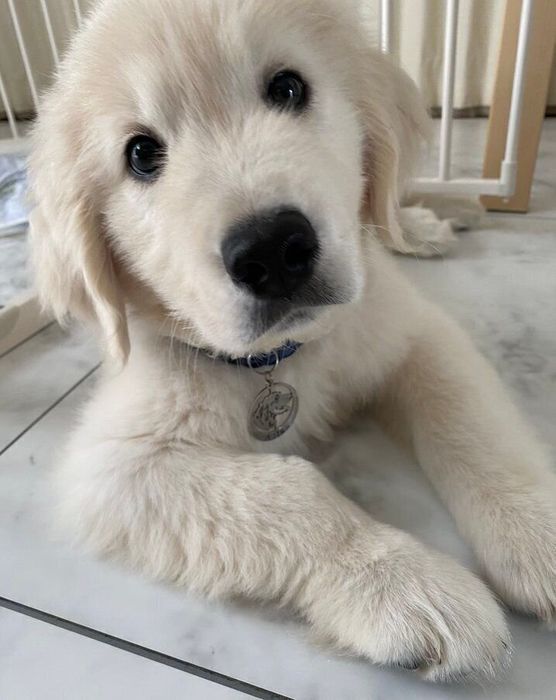 別の日の様子 あどけない表情がかわいすぎる