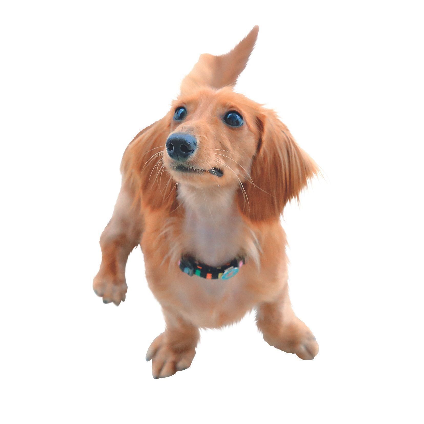 撮影／尾﨑たまき