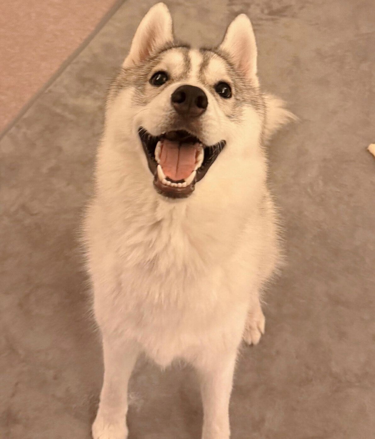 ニコニコするサムくん