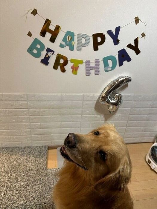 4才の誕生日を迎えたルークくん