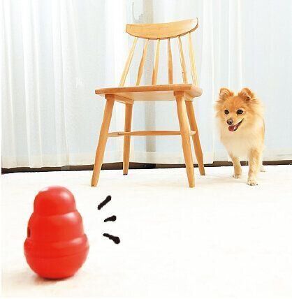 撮影／尾﨑たまき