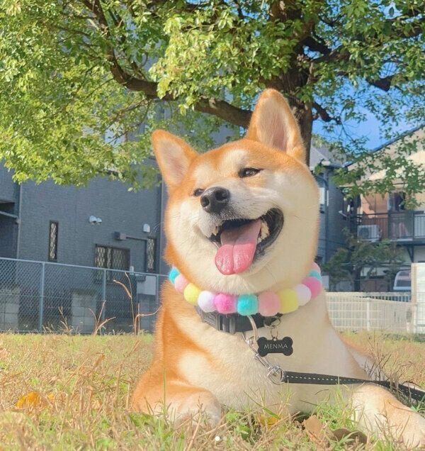 笑顔のめんまくん