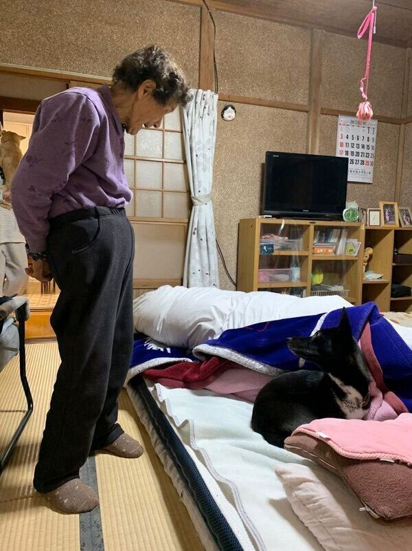 おばあちゃんの布団に入るターシャちゃん