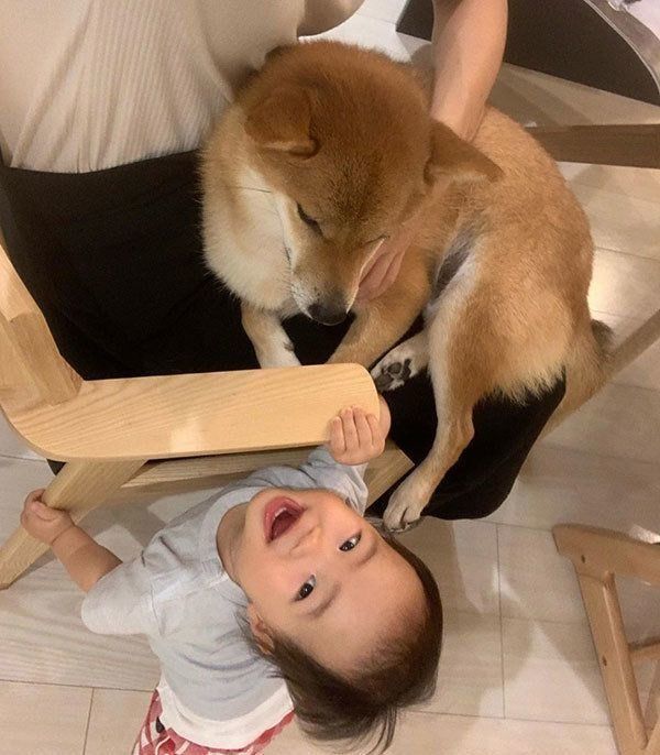 花子ちゃんとモモ子ちゃん