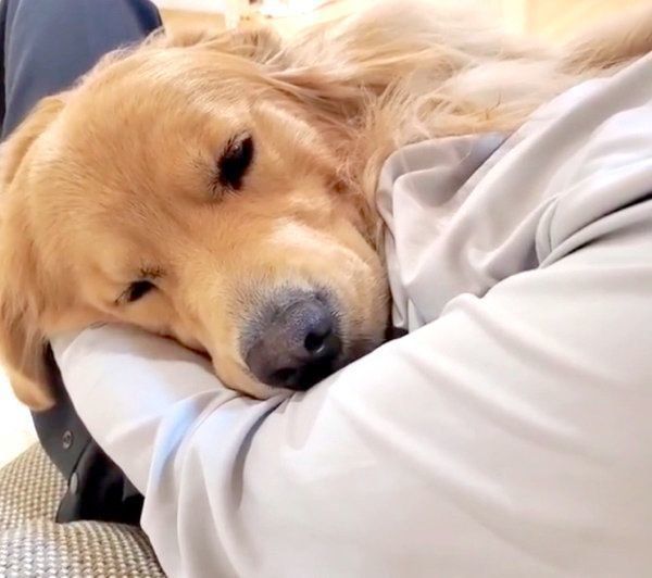 パパさんに抱っこされてウトウトするアランくん