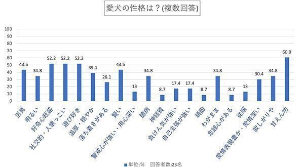 愛犬の性格は？