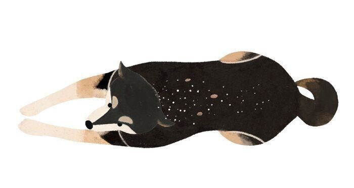 その他の分泌物