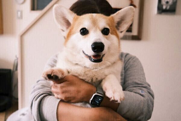 嬉しそうなガブちゃん