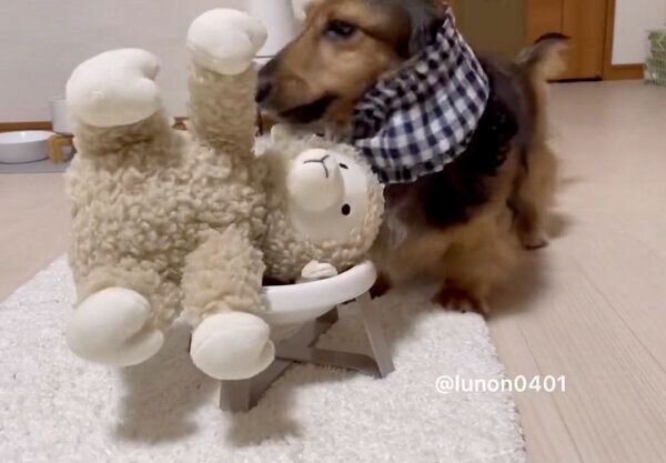 「ひつじさん」と一緒にごはんを食べたいるのんくん