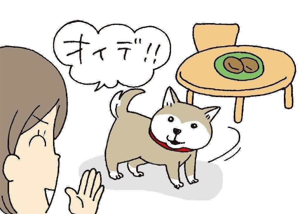 イラスト／おぐらなおみ