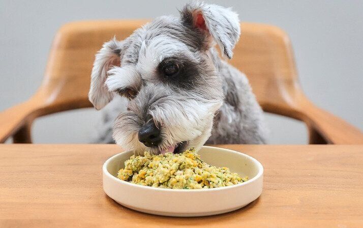 フジタ　大和リビング　リーラ横浜川和町　月次健診　犬猫合わせて4頭　マンション　賃貸マンション　いぬのきもち　いぬ　フレッシュドッグフードお試し