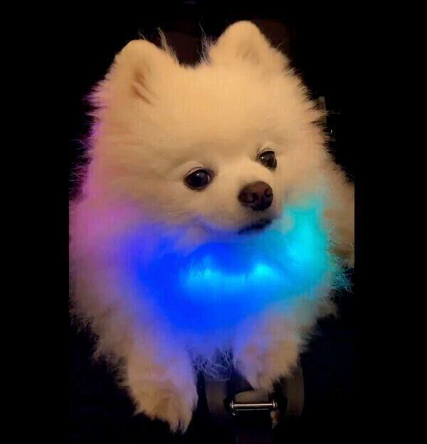 ノーリアクションなレイちゃん