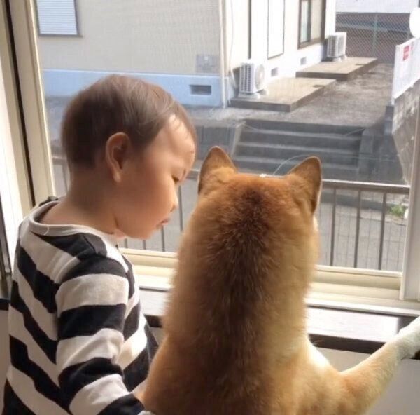 仲良く外を眺めるももかちゃんと妹ちゃん