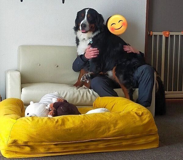 パパさんに甘えるまさおくん