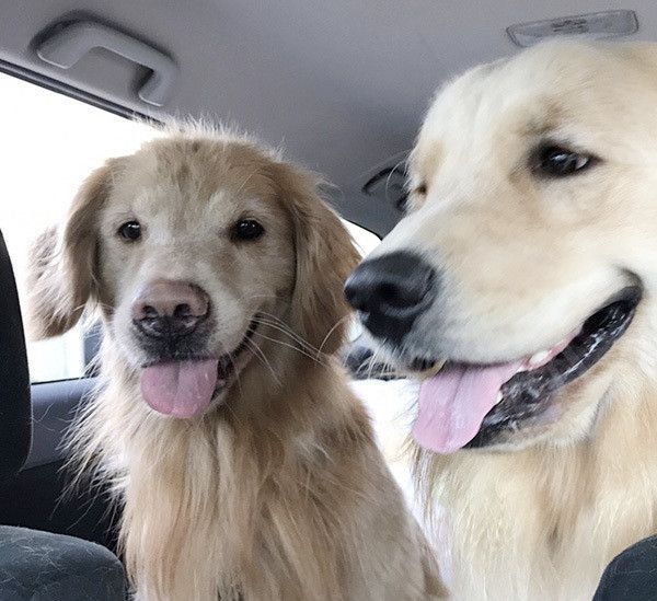 華丸くんと喜八くん