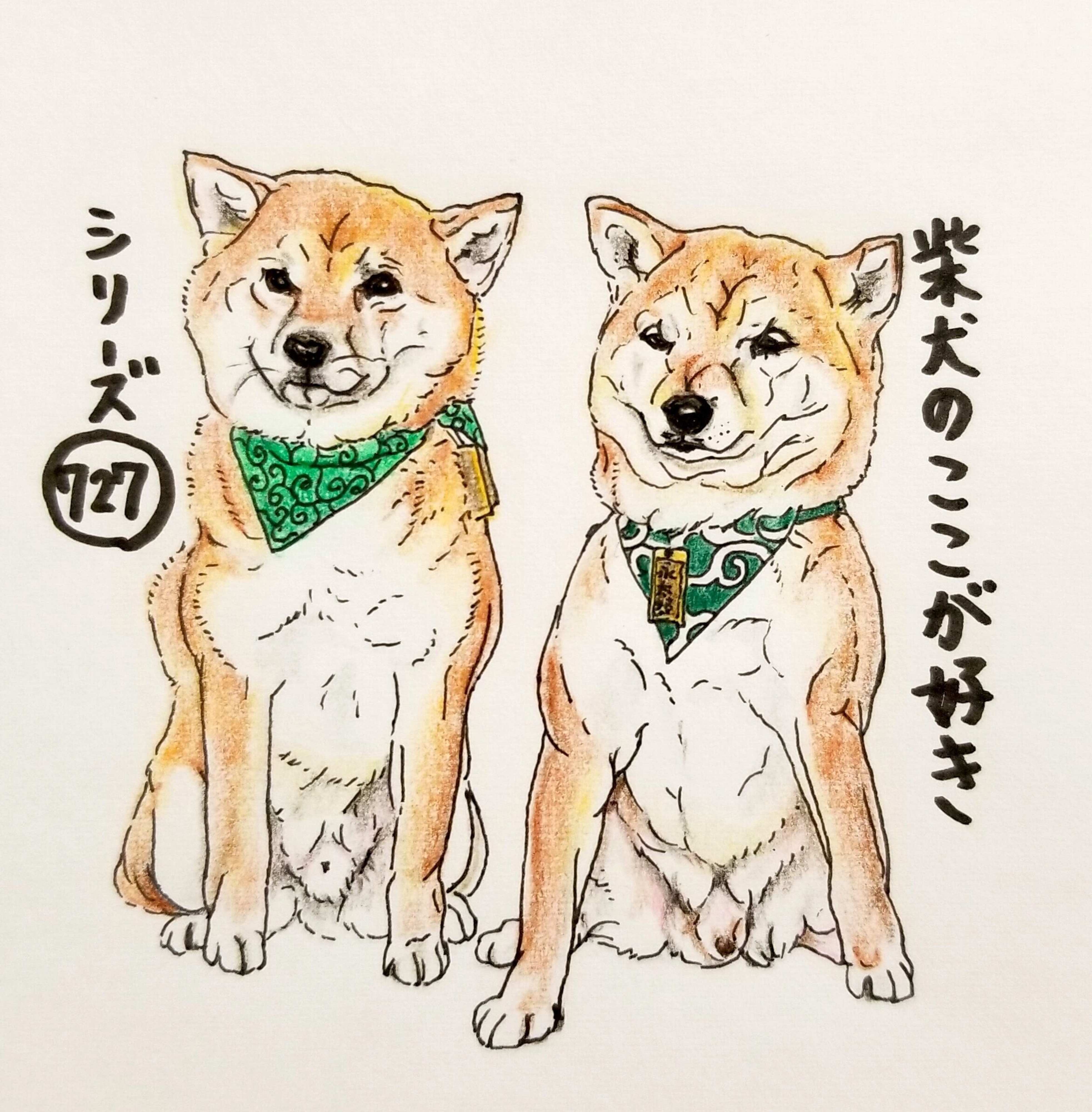 柴犬あるある 先輩犬の前では後輩犬は緊張気味になるとこ 連載 ここ掘れここ柴 Vol 127 いぬのきもちweb Magazine 柴犬あるある 先輩犬の前では後輩犬は緊張気味になるとこ 連載 ここ掘れここ柴 Vol 127 いぬのきもちweb Magazine