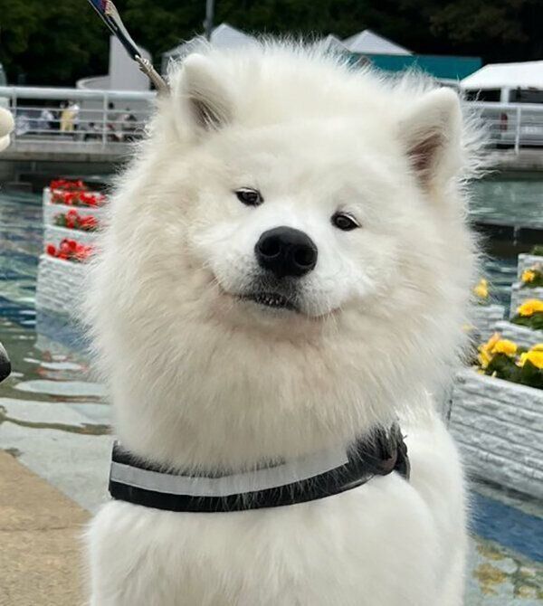 可愛い表情を見せるとうふくん