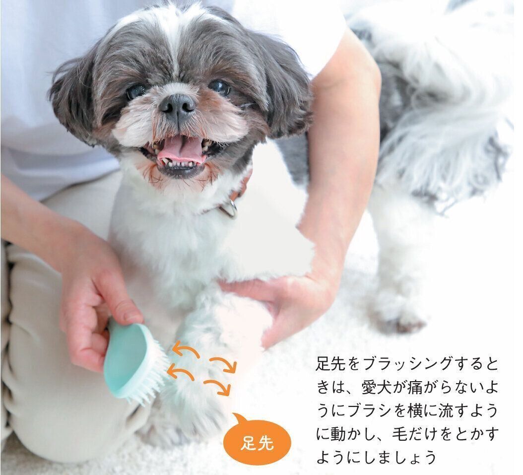 シー・ズーのブラッシング