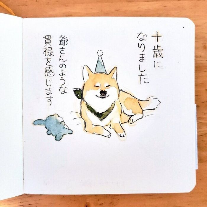 10才になったぽんたくん。飼い主さんが描いたお祝いの絵がかわいすぎる…!(画像提供:@yako_sketchさん)