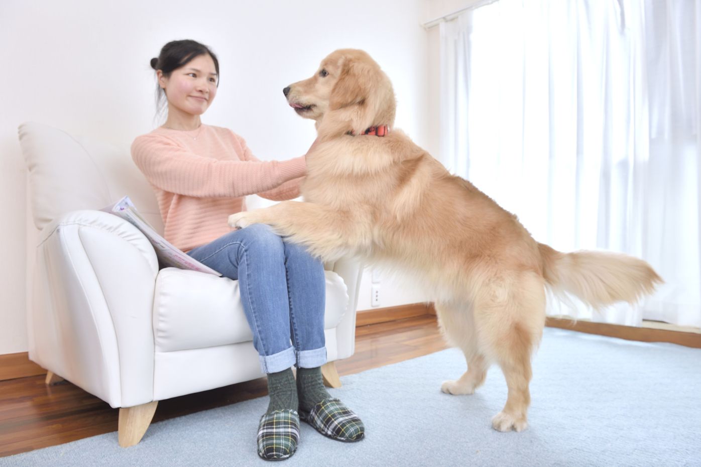 えっ それだけの理由 愛犬が突然 飼い主さんの手や服を噛むのは だから が多かった いぬのきもちweb Magazine えっ それだけの理由 愛犬が突然 飼い主さんの手や服を噛むのは だから が多かった いぬのきもちweb Magazine
