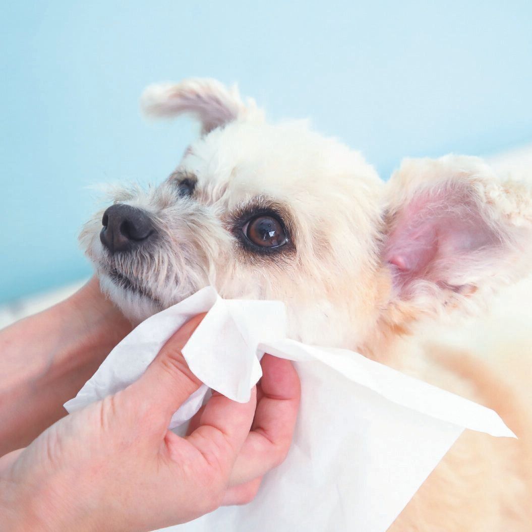 撮影／尾﨑たまき