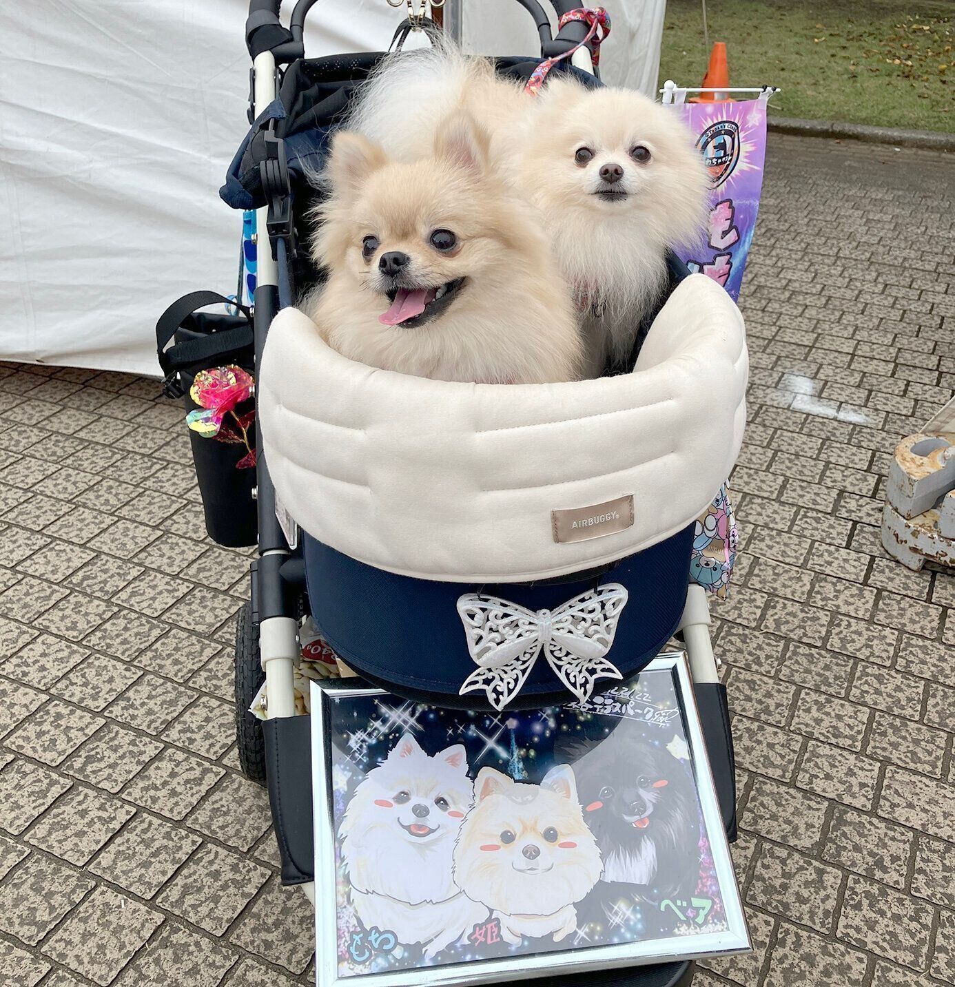 いぬのきもちフェスタ