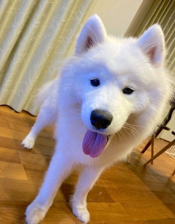 笑顔が可愛いラキシスちゃん