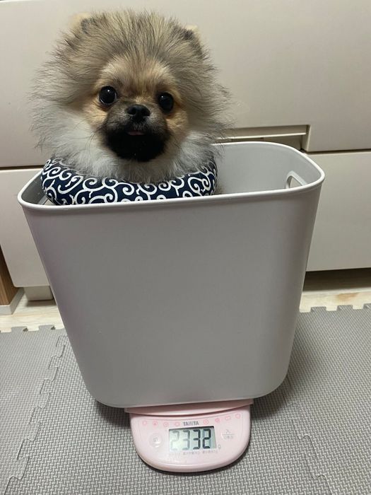 生後6カ月ごろのあもくん