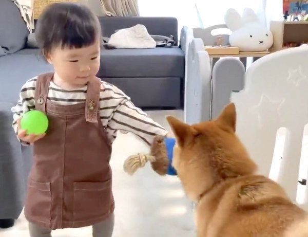 りんご郎くんにボールをあげる妹ちゃん