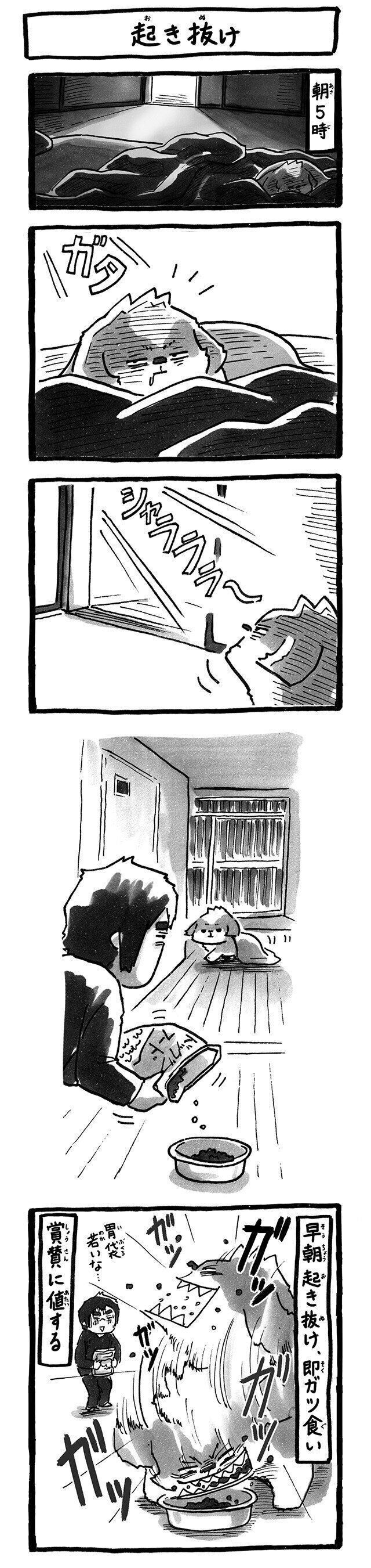 シーズー犬マンガてんぽshihtzu