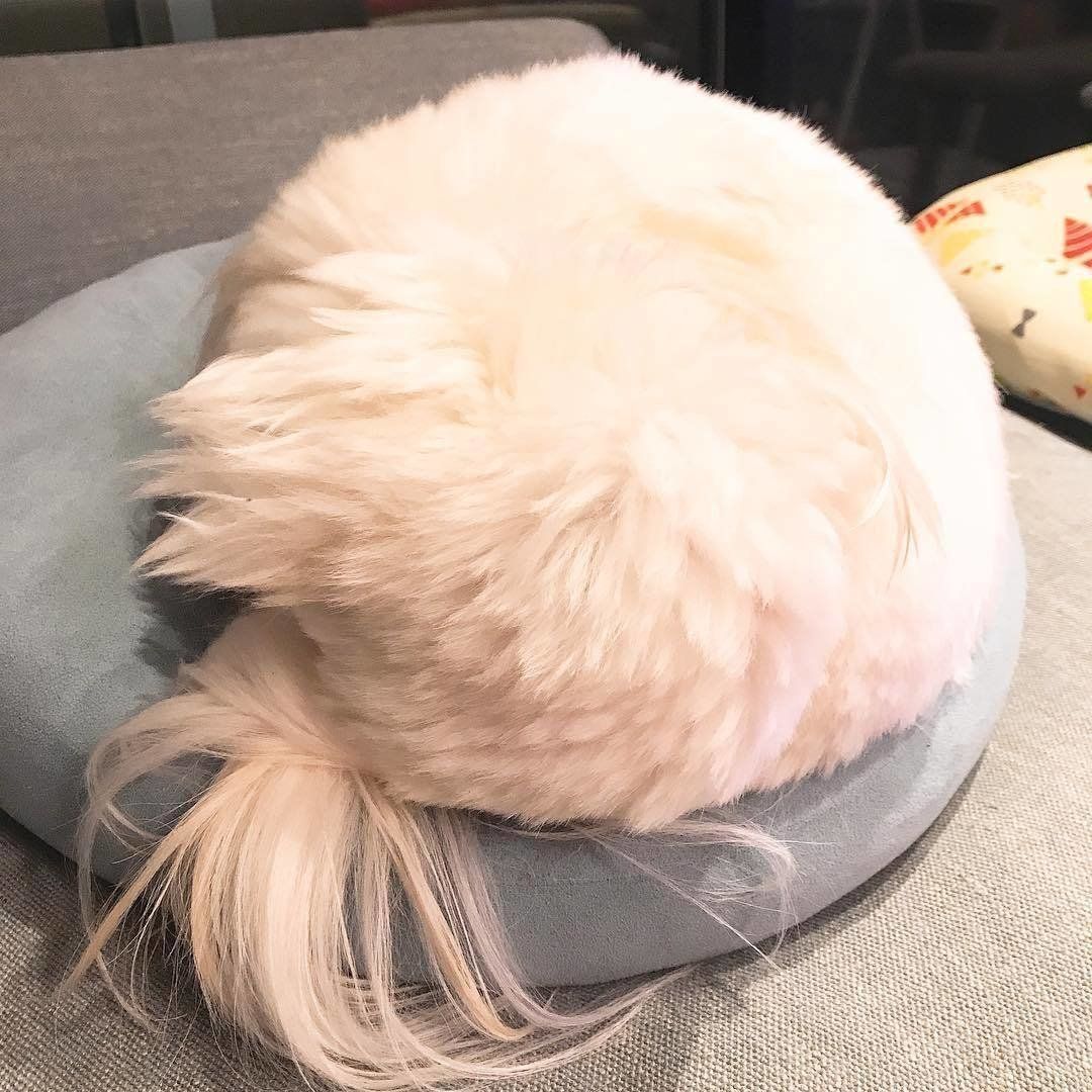 ミックス・にこまるくん・ワンモナイト