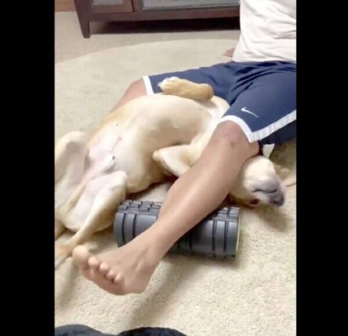 筋トレ後の筋肉をほぐすパパにかまってほしくて まさかのモノ と化した犬の姿に笑っちゃう いぬのきもちweb Magazine 筋トレ後の筋肉をほぐすパパにかまってほしくて まさかのモノ と化した犬の姿に笑っちゃう いぬのきもちweb Magazine